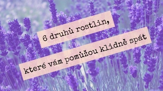 6-druhu_CC_8A-rostlin-ktere_CC_81-va_CC_81m-pomu_C